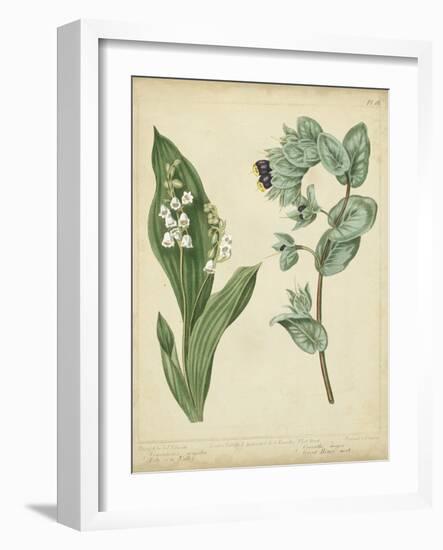Cottage Florals IV-Sydenham Edwards-Framed Art Print