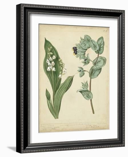 Cottage Florals IV-Sydenham Edwards-Framed Art Print