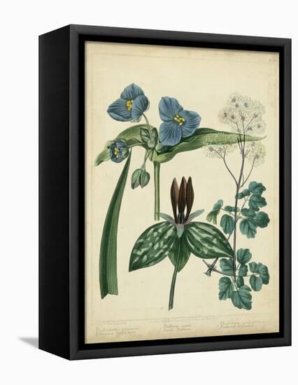 Cottage Florals V-Sydenham Teast Edwards-Framed Stretched Canvas