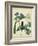 Cottage Florals V-Sydenham Teast Edwards-Framed Art Print