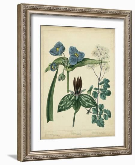 Cottage Florals V-Sydenham Teast Edwards-Framed Art Print