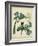 Cottage Florals V-Sydenham Teast Edwards-Framed Art Print