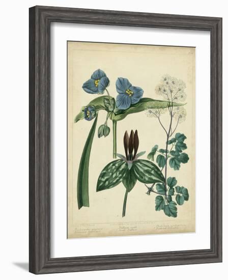 Cottage Florals V-Sydenham Teast Edwards-Framed Art Print