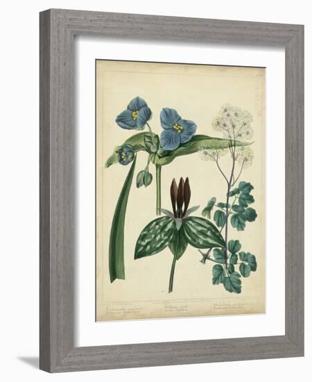 Cottage Florals V-Sydenham Teast Edwards-Framed Art Print