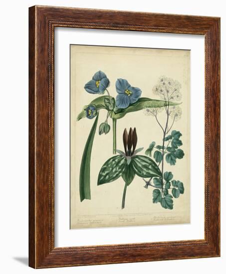 Cottage Florals V-Sydenham Teast Edwards-Framed Art Print