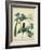 Cottage Florals V-Sydenham Teast Edwards-Framed Art Print