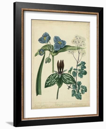 Cottage Florals V-Sydenham Teast Edwards-Framed Art Print