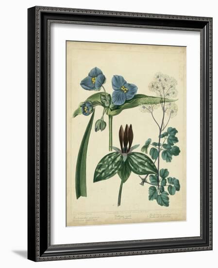 Cottage Florals V-Sydenham Teast Edwards-Framed Art Print