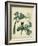 Cottage Florals V-Sydenham Teast Edwards-Framed Art Print