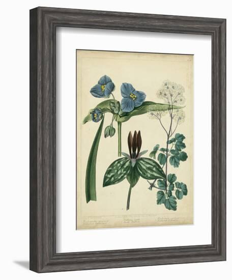 Cottage Florals V-Sydenham Teast Edwards-Framed Art Print