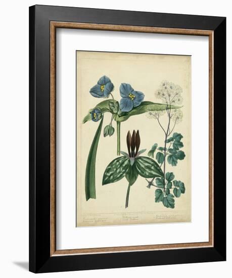 Cottage Florals V-Sydenham Teast Edwards-Framed Art Print