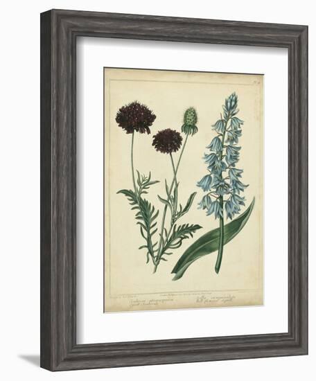 Cottage Florals VI-Sydenham Teast Edwards-Framed Art Print