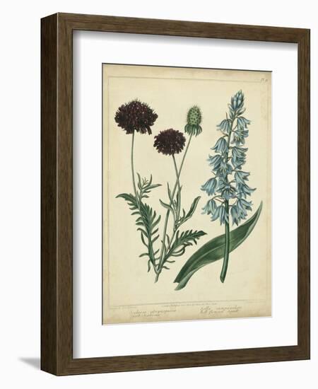 Cottage Florals VI-Sydenham Teast Edwards-Framed Art Print