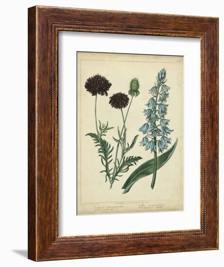 Cottage Florals VI-Sydenham Teast Edwards-Framed Art Print