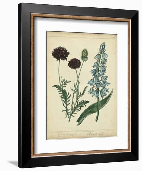 Cottage Florals VI-Sydenham Teast Edwards-Framed Art Print