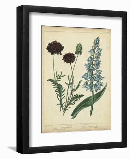 Cottage Florals VI-Sydenham Teast Edwards-Framed Art Print