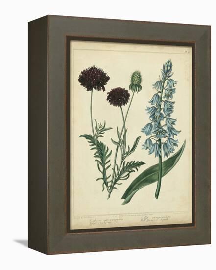 Cottage Florals VI-Sydenham Teast Edwards-Framed Stretched Canvas