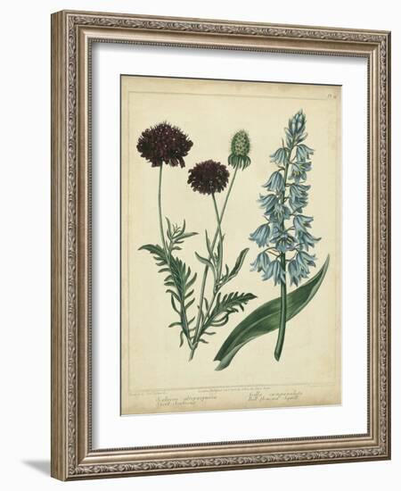 Cottage Florals VI-Sydenham Teast Edwards-Framed Art Print