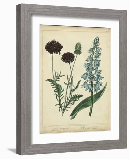 Cottage Florals VI-Sydenham Teast Edwards-Framed Art Print