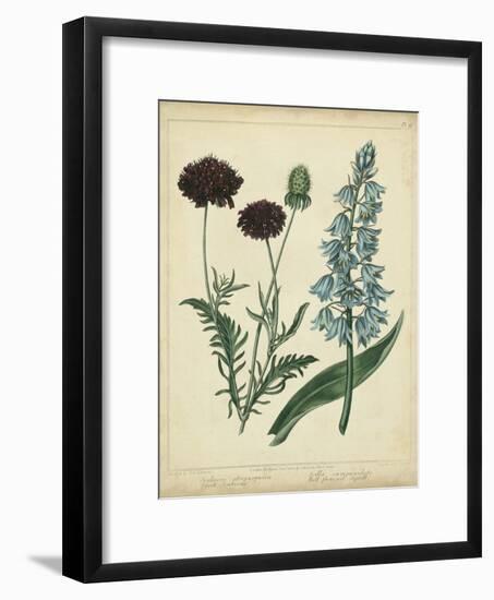 Cottage Florals VI-Sydenham Teast Edwards-Framed Art Print