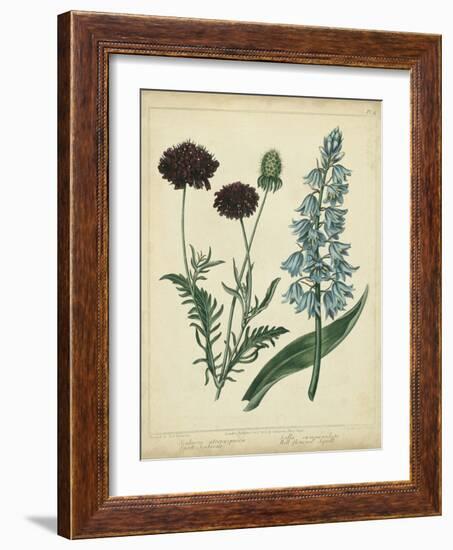 Cottage Florals VI-Sydenham Teast Edwards-Framed Art Print