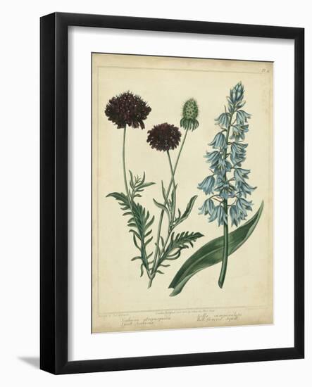 Cottage Florals VI-Sydenham Teast Edwards-Framed Art Print