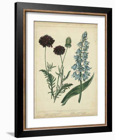 Cottage Florals VI-Sydenham Teast Edwards-Framed Art Print