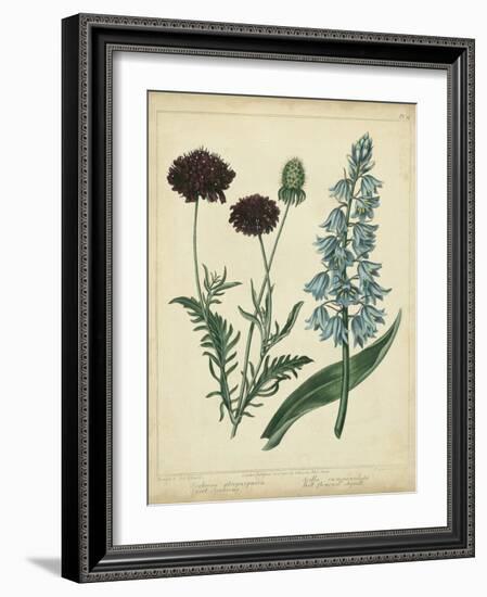 Cottage Florals VI-Sydenham Teast Edwards-Framed Art Print