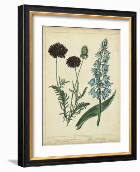 Cottage Florals VI-Sydenham Teast Edwards-Framed Art Print