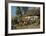 Cottage Garden-Peder Mork Monsted-Framed Art Print