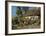 Cottage Garden-Peder Mork Monsted-Framed Art Print