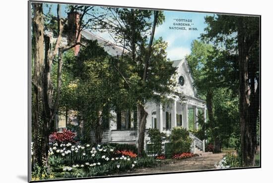 Cottage Gardens, Natchez, Mississippi-null-Mounted Art Print