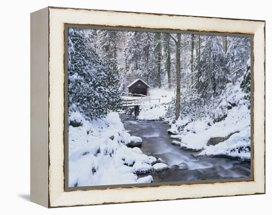 Cottage in a Forest in Winter-Marcus Lange-Framed Premier Image Canvas