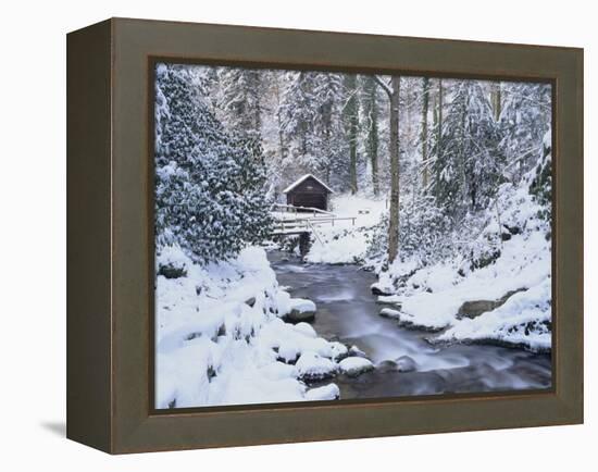 Cottage in a Forest in Winter-Marcus Lange-Framed Premier Image Canvas