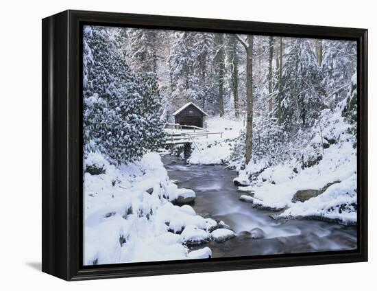 Cottage in a Forest in Winter-Marcus Lange-Framed Premier Image Canvas