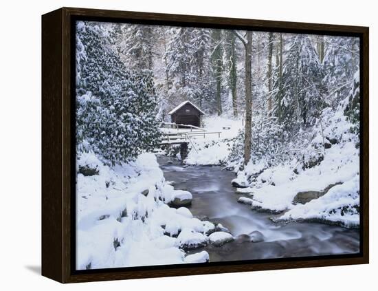 Cottage in a Forest in Winter-Marcus Lange-Framed Premier Image Canvas