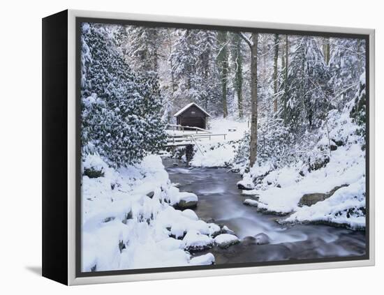 Cottage in a Forest in Winter-Marcus Lange-Framed Premier Image Canvas