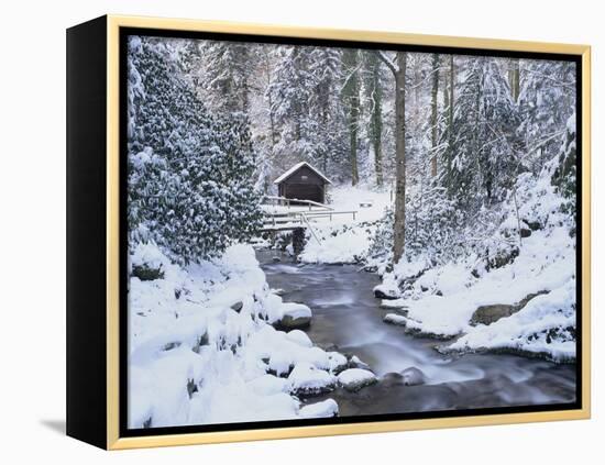 Cottage in a Forest in Winter-Marcus Lange-Framed Premier Image Canvas