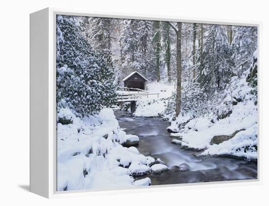 Cottage in a Forest in Winter-Marcus Lange-Framed Premier Image Canvas