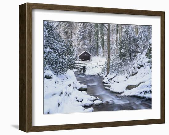 Cottage in a Forest in Winter-Marcus Lange-Framed Photographic Print