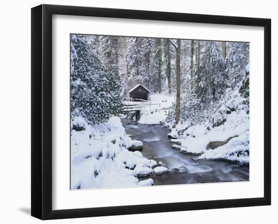 Cottage in a Forest in Winter-Marcus Lange-Framed Photographic Print