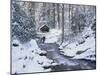 Cottage in a Forest in Winter-Marcus Lange-Mounted Photographic Print