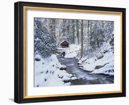 Cottage in a Forest in Winter-Marcus Lange-Framed Photographic Print