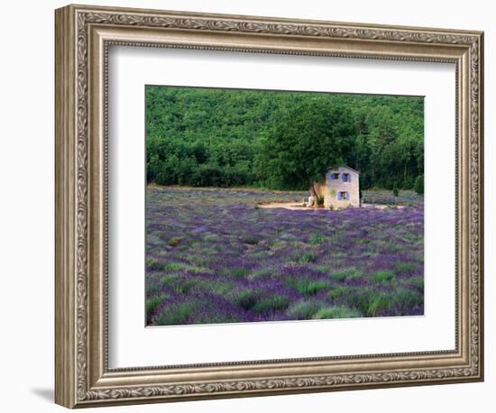 Cottage in Field of Lavender-Owen Franken-Framed Photographic Print