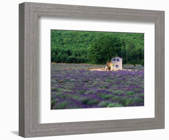 Cottage in Field of Lavender-Owen Franken-Framed Photographic Print