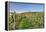 Cottage in Vineyards in Autumn, Uhlbach, Baden Wurttemberg, Germany, Europe-Markus Lange-Framed Premier Image Canvas