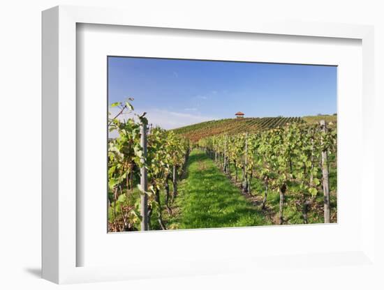 Cottage in Vineyards in Autumn, Uhlbach, Baden Wurttemberg, Germany, Europe-Markus Lange-Framed Photographic Print