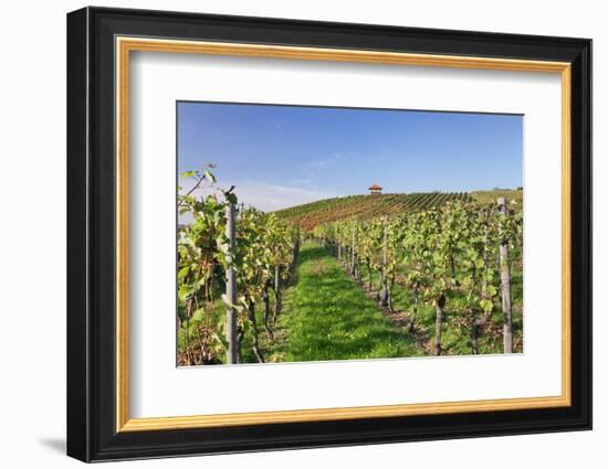 Cottage in Vineyards in Autumn, Uhlbach, Baden Wurttemberg, Germany, Europe-Markus Lange-Framed Photographic Print