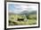 Cottage Near Conor Pass-Clive Madgwick-Framed Art Print