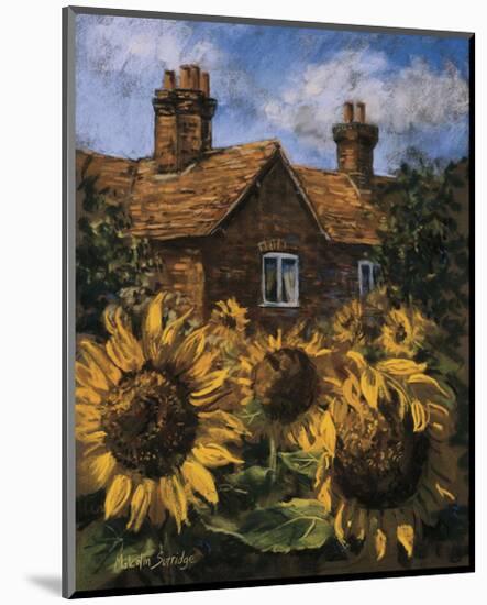 Cottage of Delights I-Malcolm Surridge-Mounted Giclee Print